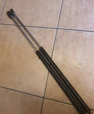 Tailgate/trunk strut/damper