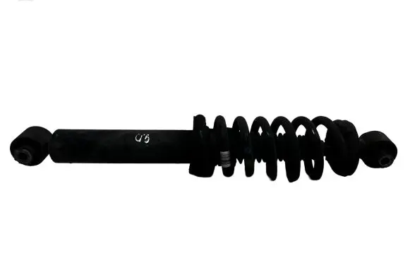 Citroen DS5 Rear shock absorber with coil spring 
