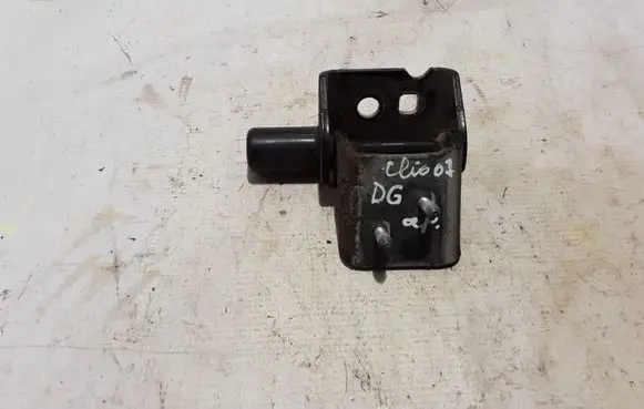 Renault Clio III Rear door lower hinge 824205786R