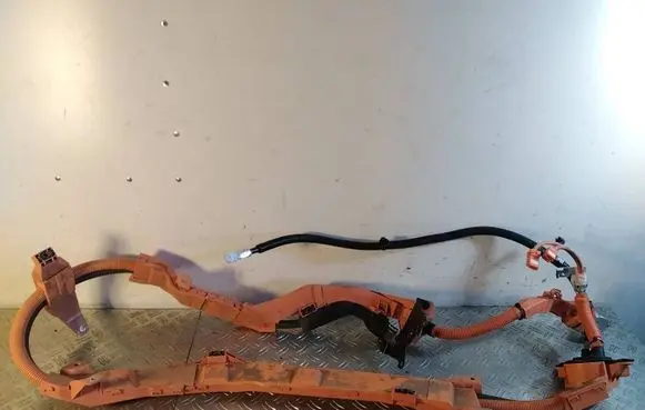 Toyota RAV 4 (XA50) Other wiring loom 821H142010