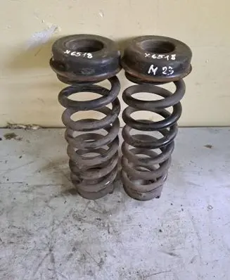Rear coil spring