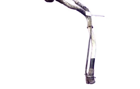Fuel tank filler neck pipe