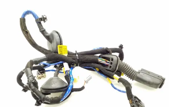 Hyundai Ioniq Front door wiring loom 91610G7070