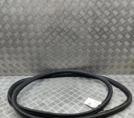 Opel Vivaro Rubber seal front coupe door 9806514880