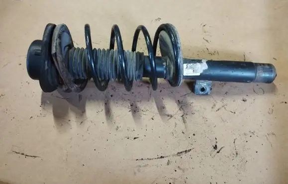 Peugeot 206 Front shock absorber with coil spring