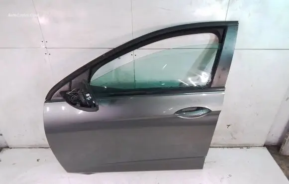 Opel Insignia B Front door