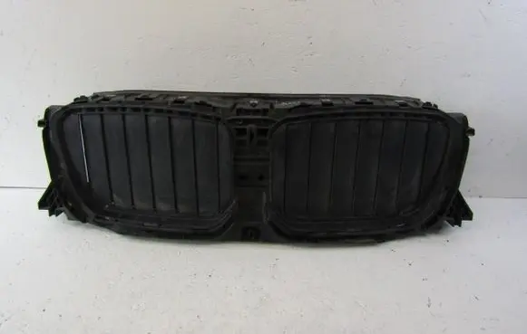 BMW X3 G01 Front grill 5A1DA48-06
