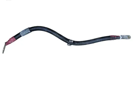 BMW X5 E70 Positive cable (battery) 7795640