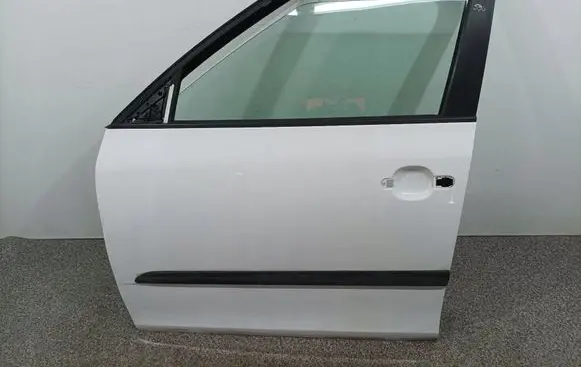 Skoda Fabia Mk2 (5J) Front door