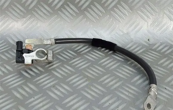 Ford Kuga III Negative earth cable (battery) LX6T10C679BD