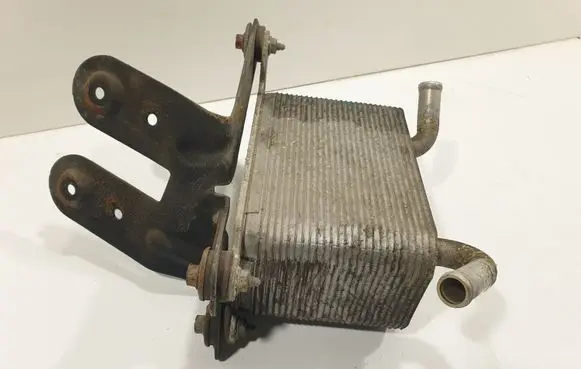 Volkswagen Phaeton Oil filter mounting bracket 3D0409061G
