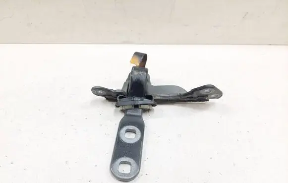 BMW X6 E71 Tailgate/trunk/boot hinge 7175829