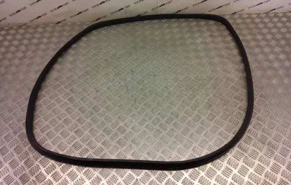 Ford Ecosport Front door rubber seal 7396553