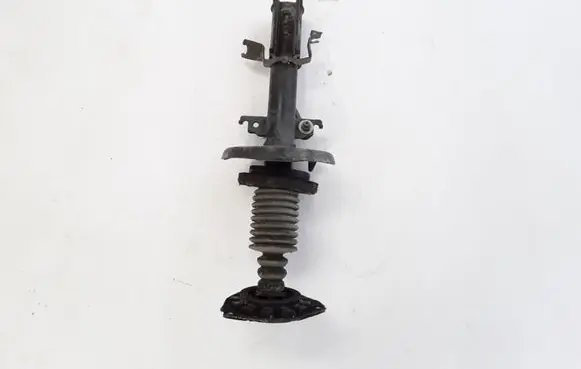 Renault Scenic III - Grand scenic III Front shock absorber/damper 543022646R