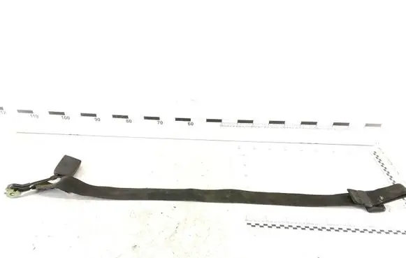 Volkswagen Golf IV Middle seatbelt (rear) 33000226 2418A76