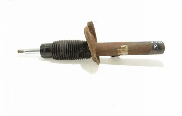 Peugeot 206 Front shock absorber/damper