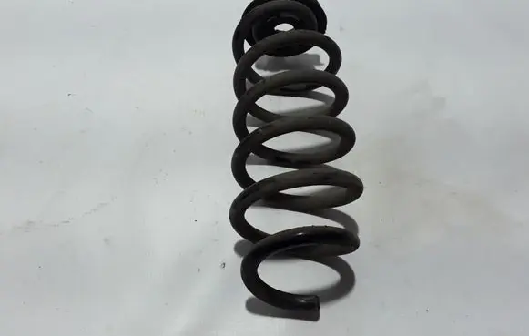 Renault Captur Rear coil spring 550201983R
