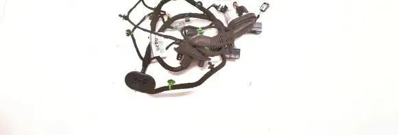 Front door wiring loom