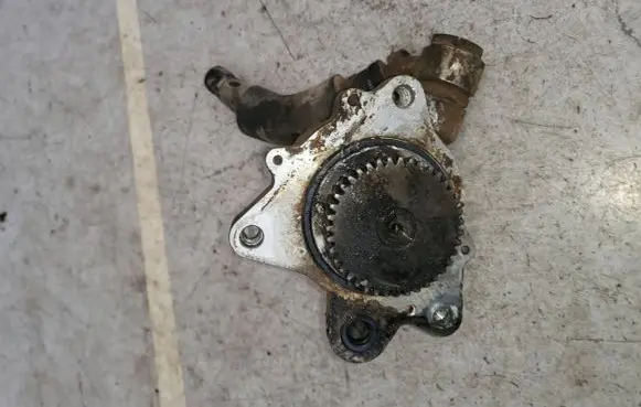 Nissan Terrano Vacuum pump 146507T401