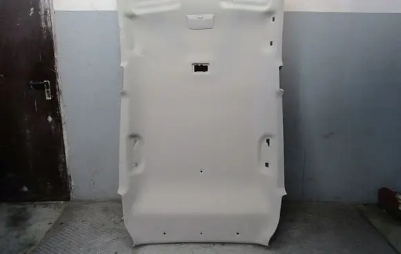 Nissan Leaf II (ZE1) Headlining ZF10134075