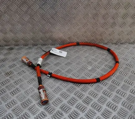 Mercedes-Benz EQE v295 Other wiring loom A2955407106