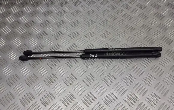 Fiat Punto (188) Tailgate hydraulic set 46744596