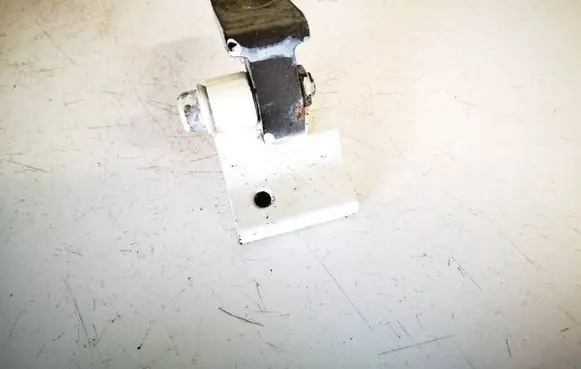 Porsche Cayenne (9PA) Rear door lower hinge