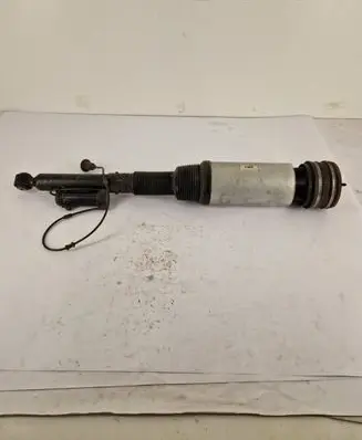 Mercedes-Benz S W220 Rear shock absorber/damper 2203260164