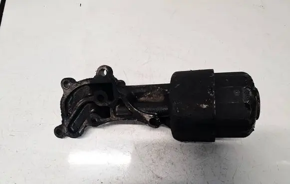 Nissan X-Trail T30 Oil filter cover 