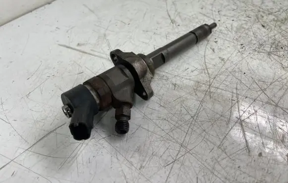 Citroen Berlingo Fuel injector 0445110239 606680