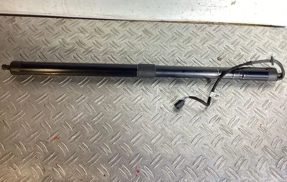 Tailgate/trunk strut/damper