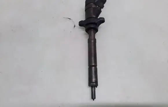 Citroen C4 I Fuel injector 0445110188