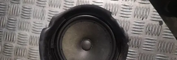 Volkswagen Eos Front door speaker 1q0035454