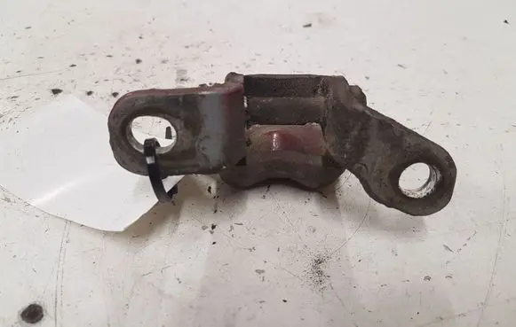 KIA Carens I Rear door lower hinge