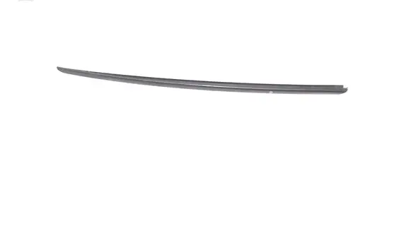 Honda Civic Windshield trim 