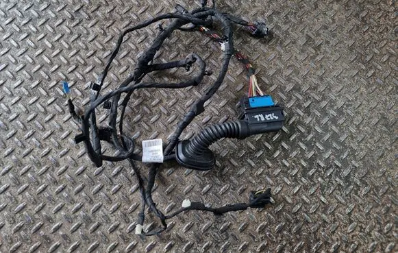 BMW 2 F44 Rear door wiring loom 8727997 8727993