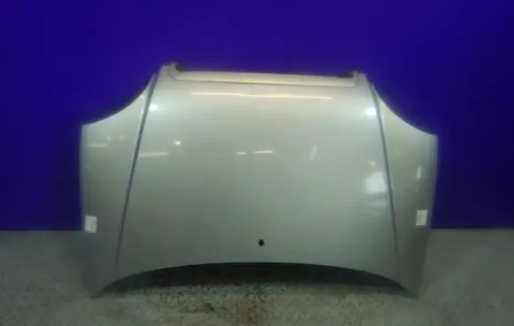 Engine bonnet/hood