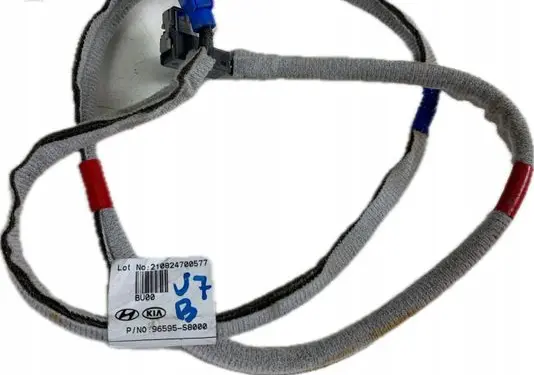 Hyundai Palisade Wiring harness 96595S8000
