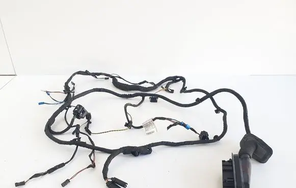 Front door wiring loom