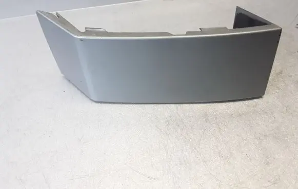 Rear/tail light trim molding