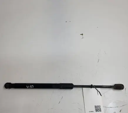 Nissan Leaf I (ZE0) Tailgate/trunk strut/damper 904513NF0A 8109340520N