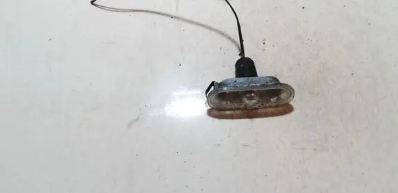 Front fender indicator light