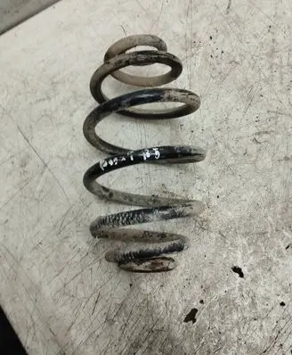 Rear coil spring