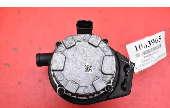 Renault Zoe Water pump 0392024171