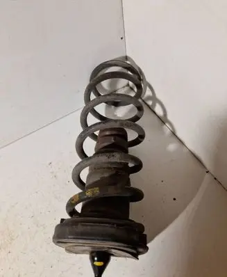 Rear coil spring
