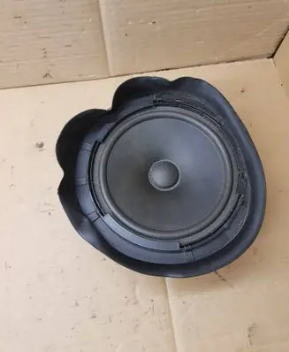 Rear door speaker