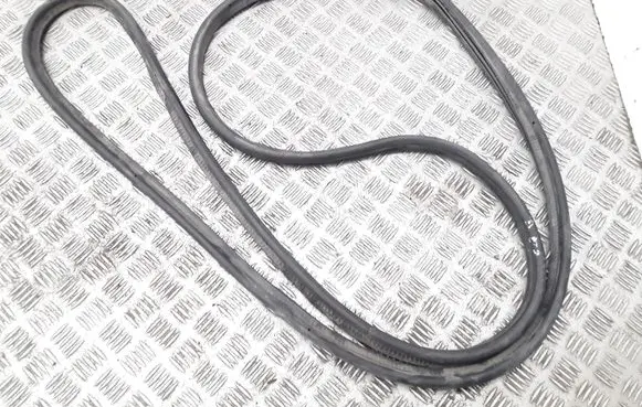 Trunk rubber seal (body)