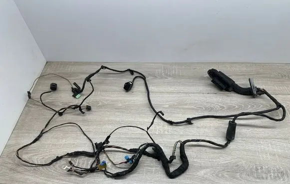BMW 7 F01 F02 F03 F04 Front door wiring loom 9234338 1762 EGF742