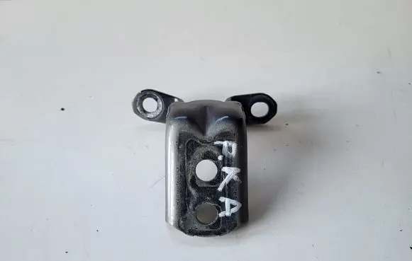Renault Kadjar Front door lower hinge 