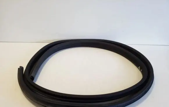 Ford Ecosport Rear door rubber seal (on body) 